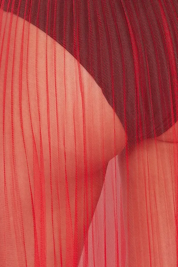 Pleated High Waisted Sheer Maxi Skirt - Red